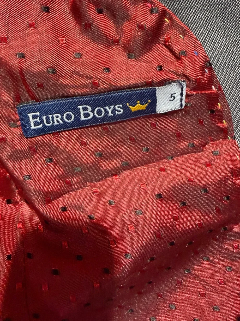 Euro Boss Gray Boys' Blazer with Red Lining